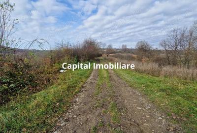 Teren de vanzare in Gro?i, Maramure?, 55 ari - 4