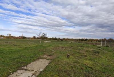 RECO teren intravilan Cefa cu proiect casa RECO teren intravilan Cefa cu proiect casa - 2