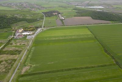 Teren extravilan de 22500mp Zona Ineu - 2