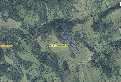 Teren Construcții intravilan de 6000 mp, în Șaru Dornei - 8