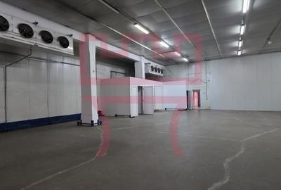 Hala  industriala cu frig sau fara 405m 185mp birouri Someseni 5.1ml H - 12