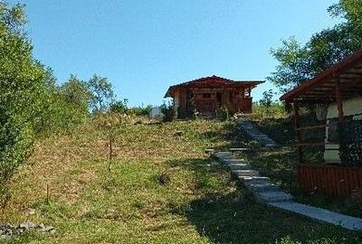 Casă cu 3 camere cu Teren 2697 Mp în Teș - 6