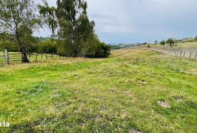 Spațiu comercial, în Central - 11