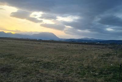 Teren Construcții intravilan de 1049 mp, în Râșnov - 4