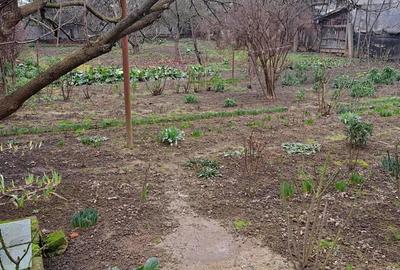 Casă cu 3 camere în Micro 17 - 7