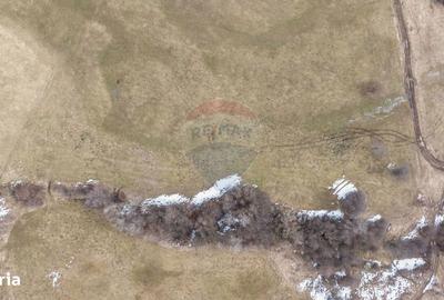 Teren de 5602 mp, în Bran - 3