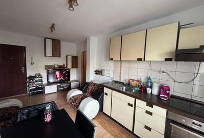 Apartament cu 2 camere decomandat în Dosu Bricii - 7
