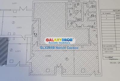 Ghencea Strada Constantin Titel Petrescu spatiu comercial de inchiriat - 2