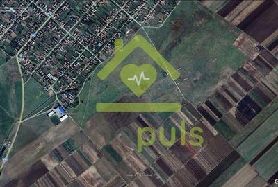 ? Teren extravilan la Pesac de 5.000 mp (1,4 euro/mp)? - 3