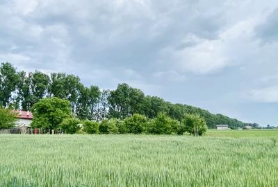 Teren rezidential langa lac Snagov in Silistea Snagovului iesire A3 - 2