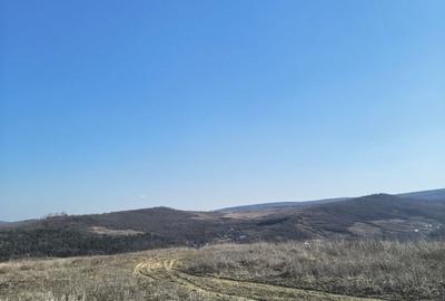 Spațiu comercial, în Tomești - 7