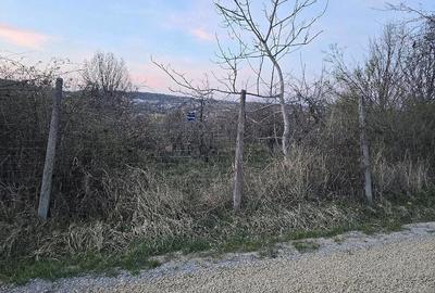 Teren de 1000 mp, în Dealuri Oradea