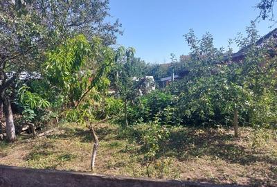 Casă cu 3 camere în Vășad - 1