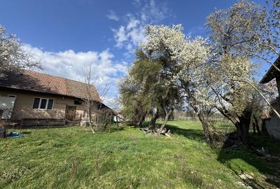 Casă individuală cu 2 camere cu Canalizare în Vad - 2
