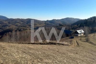 Teren 16469 mp extravilan arabil  Poiana Marului zona Vulcanita - 6