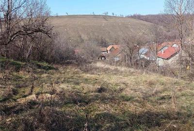 Bradisoru de Jos, Casa 2 Cam. + Teren 1439MP - 17