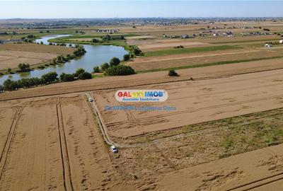 Teren Construcții intravilan de 328 mp, în Berceni - 13