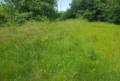 Teren agricol extravilan de 11541 mp, în Eșelnița