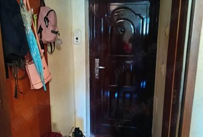 Inchiriere apartament 2canere - 1