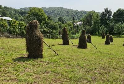 Teren vanzare in comuna Adunati - zona BREAZA - Prahova Teren vanzare in comuna Adunati - zona BREAZA - Prahova - 7
