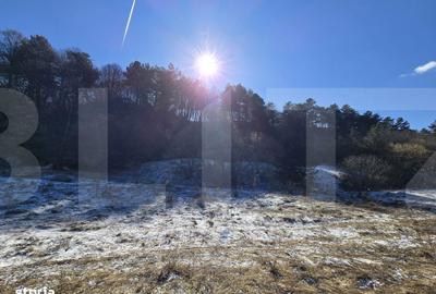 Teren de 4000 mp, în Făget - 3