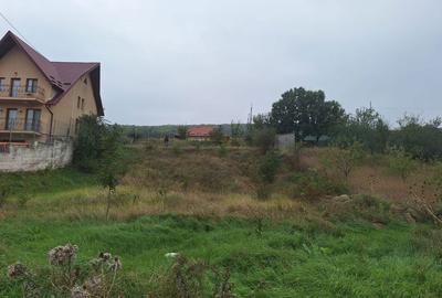 Spațiu comercial, în Tomești - 14