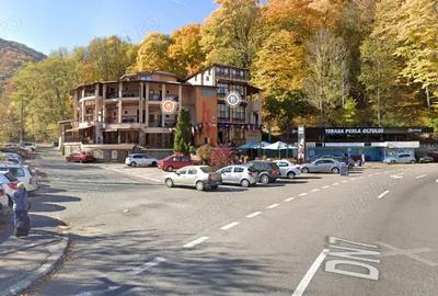 Teren padure 46.290 DE MP - 1