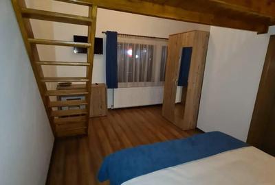 Spatiu comercial direct la Partia Kalinderu Busteni - 4