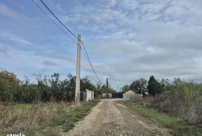 Spațiu comercial, în Balotești - 11