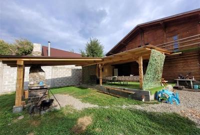 FILM! Resedinte montane,mobilate,echipate, jacuzzi,piscina,pretios areal,Sambata - 28