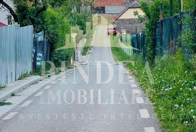 Teren casa 830mp Giarmata- vatra satului 60euro/mp - 3