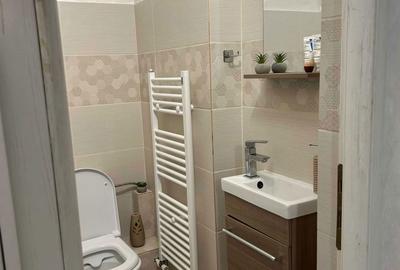 Garsonieră decomandată în Exterior Vest - 7