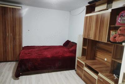 Vand casa Pecica - 4