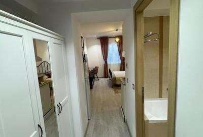 Garsonieră decomandată, mobilată în Vitan-Bârzești - 4