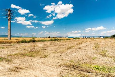 Teren intravilan – 3975 mp - 2