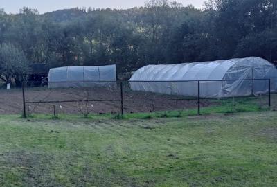 Casă cu 4 camere în Slătioara - 6
