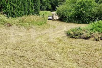 Casa de Vacan?a pe Valea Ighielului 3 camere, 2500 mp curte - 5