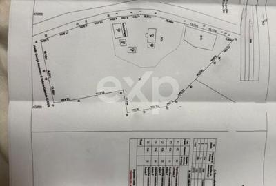 Casă cu 2 camere în Săliștea - 5