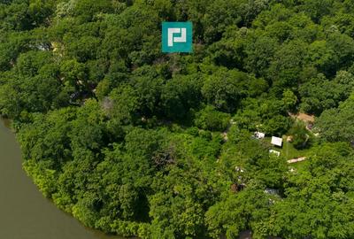 Teren exclusivist de 2.120 mp în inima naturii, Snagov - 6