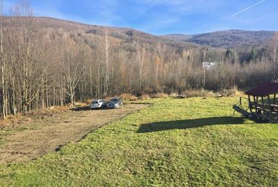 Spațiu comercial, în Văliug - 1