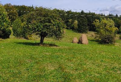 Teren intravilan situat in Traisteni - 8