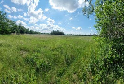 Casa si teren Comuna Fagetelu - 9