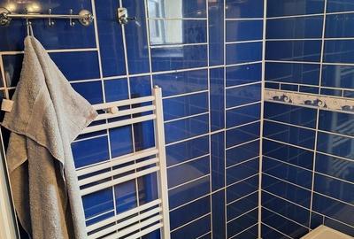 Apartament cu 2 camere decomandat, mobilat în Micro 17 - 9
