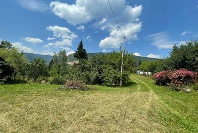 Teren de 4534 mp, în Câmpu lui Neag - 4