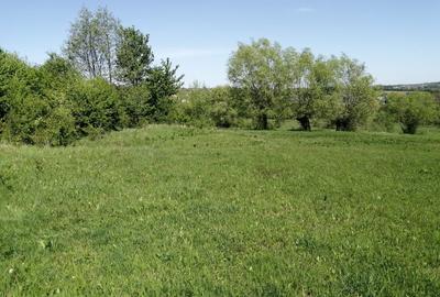 Teren de 1600 mp, în Cacica