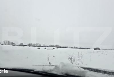 Teren de 41000 mp, în Giroc