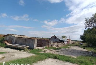 Spațiu comercial, în Central - 1