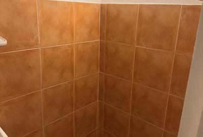 Spațiu comercial, de 20 mp, în Metalurgie - 5