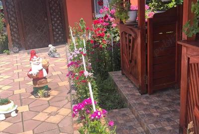 Casă cu Teren 2750 Mp în Vulpeni - 5