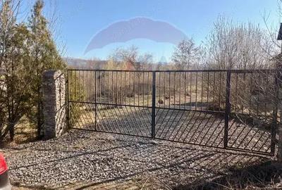 Casă cu Teren 6000 Mp în Călinești - 4